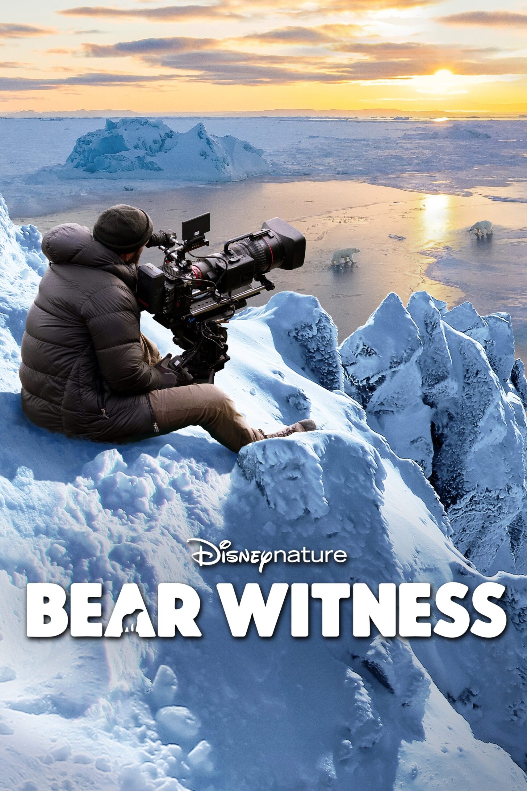 ดูหนังออนไลน์ฟรี Bear Witness (2022) เต็มเรื่อง
