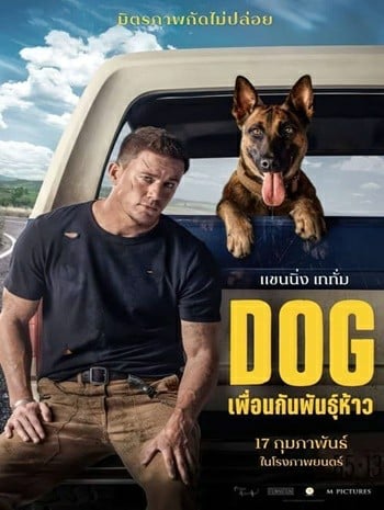 ดูหนังออนไลน์ฟรี Dog เพื่อนกันพันธุ์ห้าว (2022) บรรยายไทยแปล เต็มเรื่อง