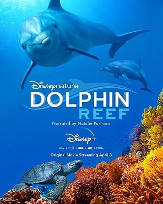 ดูหนังออนไลน์ฟรี Dolphin Reef (2020) Disney+ บรรยายไทย