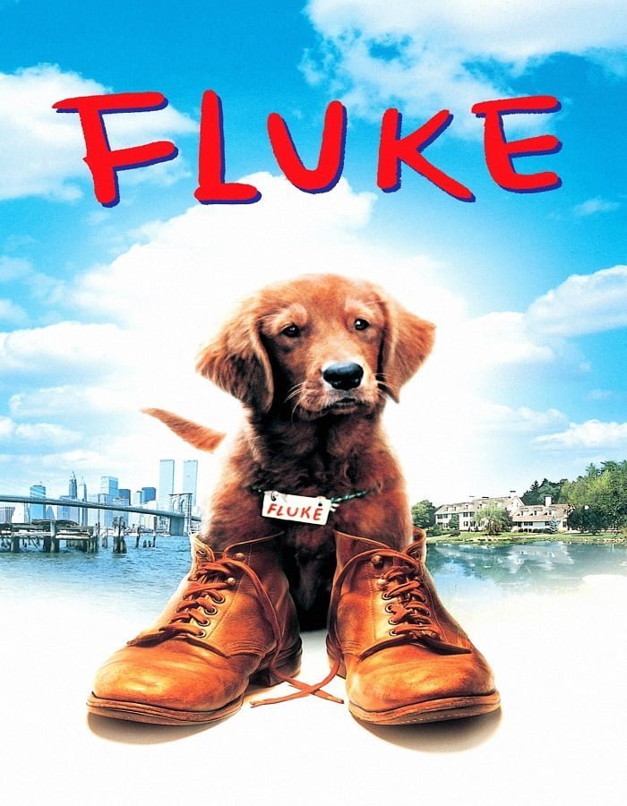 ดูหนังออนไลน์ฟรี Fluke เกิดใหม่กลายเป็นหมา (1995)