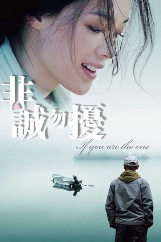 ดูหนังออนไลน์ฟรี If You Are the One (Fei cheng wu rao) ผิดรักหัวใจหลงลึก (2008) บรรยายไทย